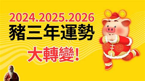 豬年幸運顏色|2024豬年開運色速查